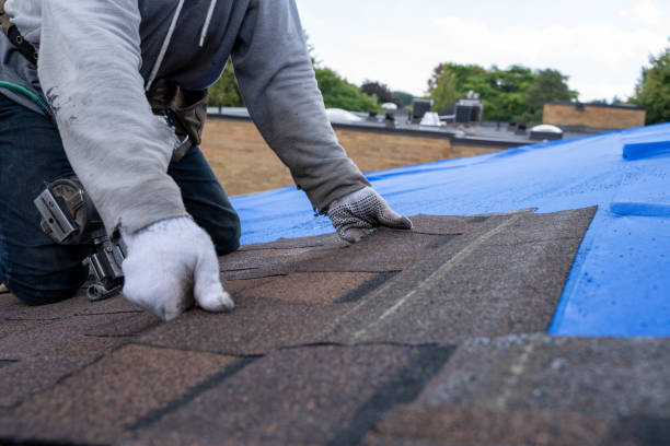 Best Flat Roof Repair Services  in Clintwood, VA