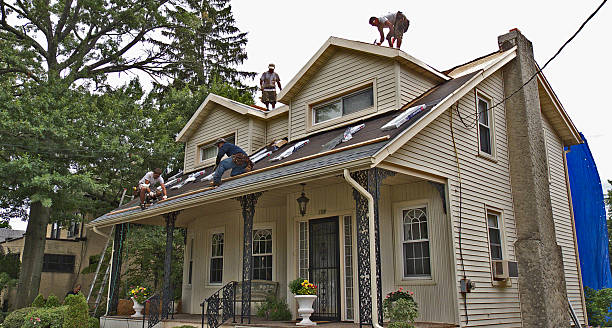 Best Roof Gutter Cleaning  in Clintwood, VA