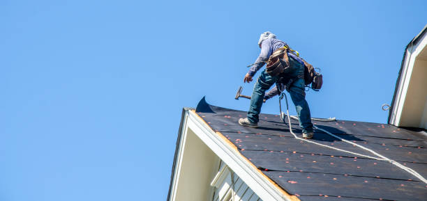 Best Storm Damage Roof Repair  in Clintwood, VA